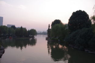 公园中的傍晚美景