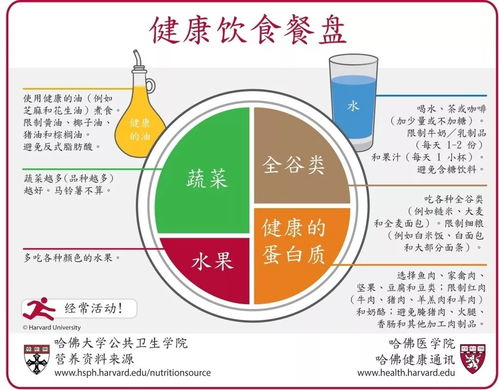 一份均衡搭配的健康餐盘示例