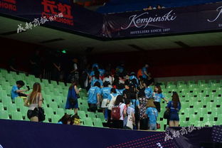 赛场上的观众欢呼雀跃