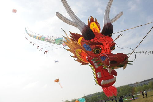 万千风筝齐飞引游客观赏