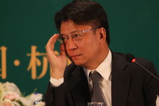 贾跃亭与孙宏斌合影