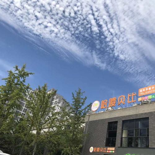 一所现代化托育中心