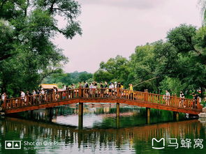 一张展现古代皇帝办公情景的插图