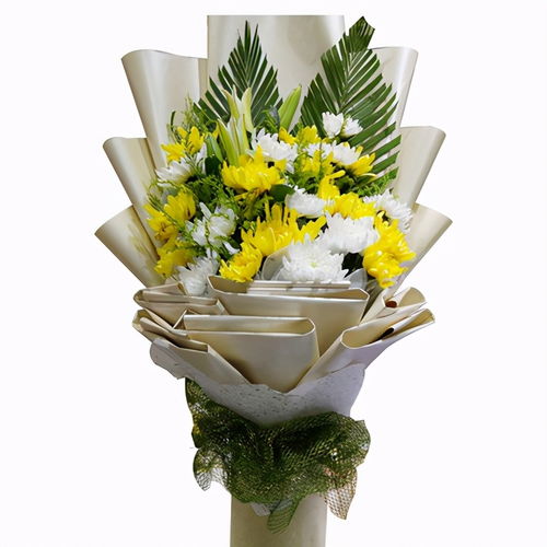 一束白菊献给逝者