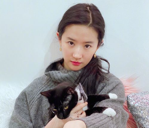 刘亦菲日常装扮