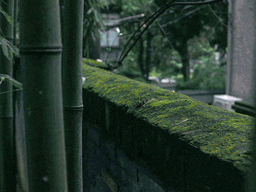 探索未知的道路