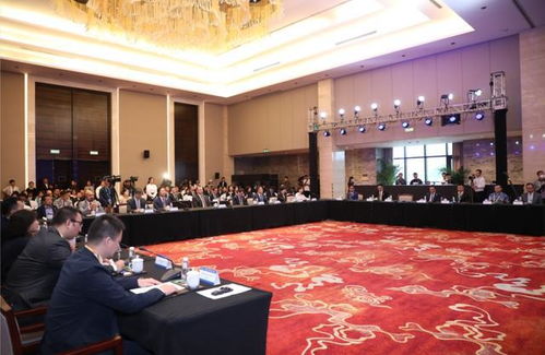 全球经济会议现场