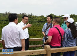 游客在竹亭交谈