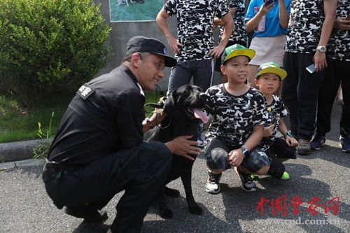 粉丝与警察互动