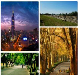 粉丝聚集地实景